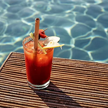 Menorca Experimental